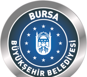 BBB Yıldırım-Nilüfer Caddeleri E.N.H Deplase ve Aydınlatma